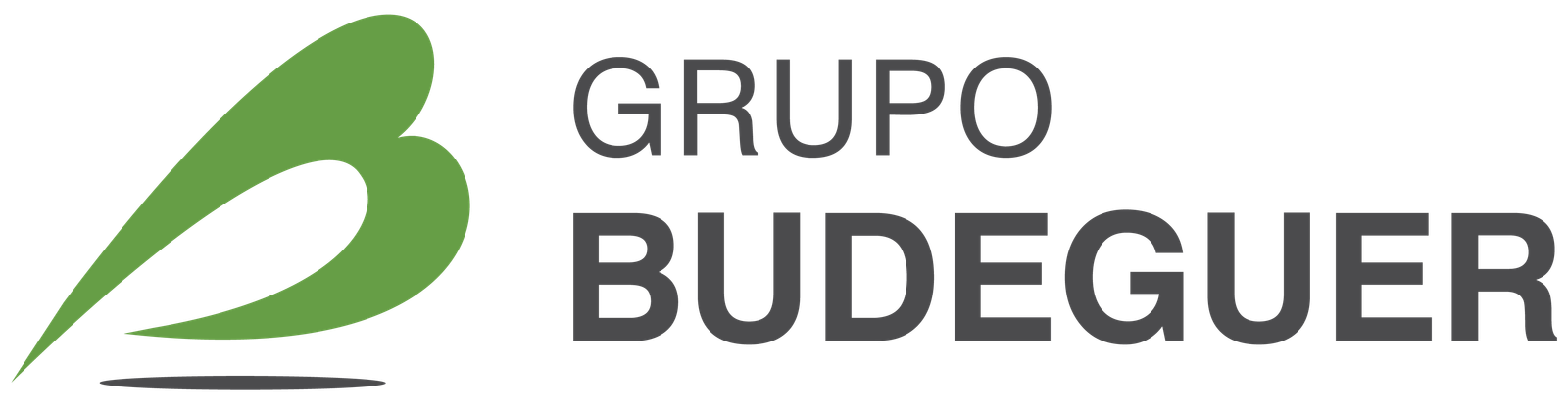 Logo de Grupo Budeguer